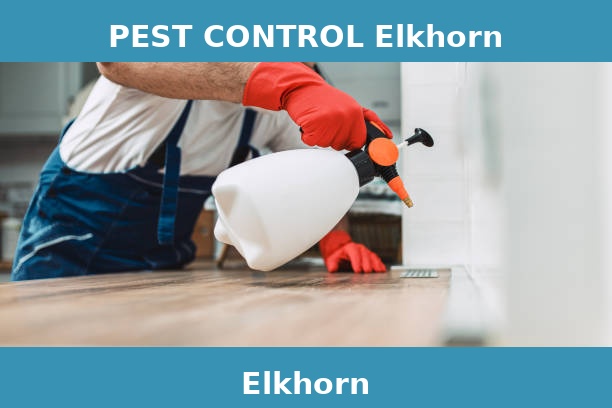 PEST CONTROL Elkhorn